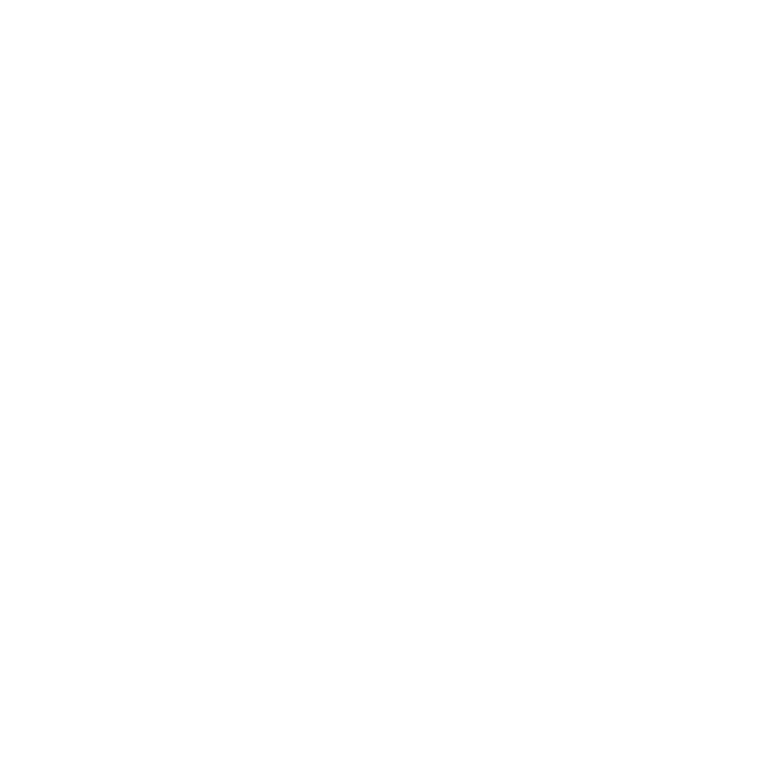 Holsterpro Gun Leather